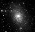 M33