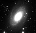 M81