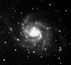 M101